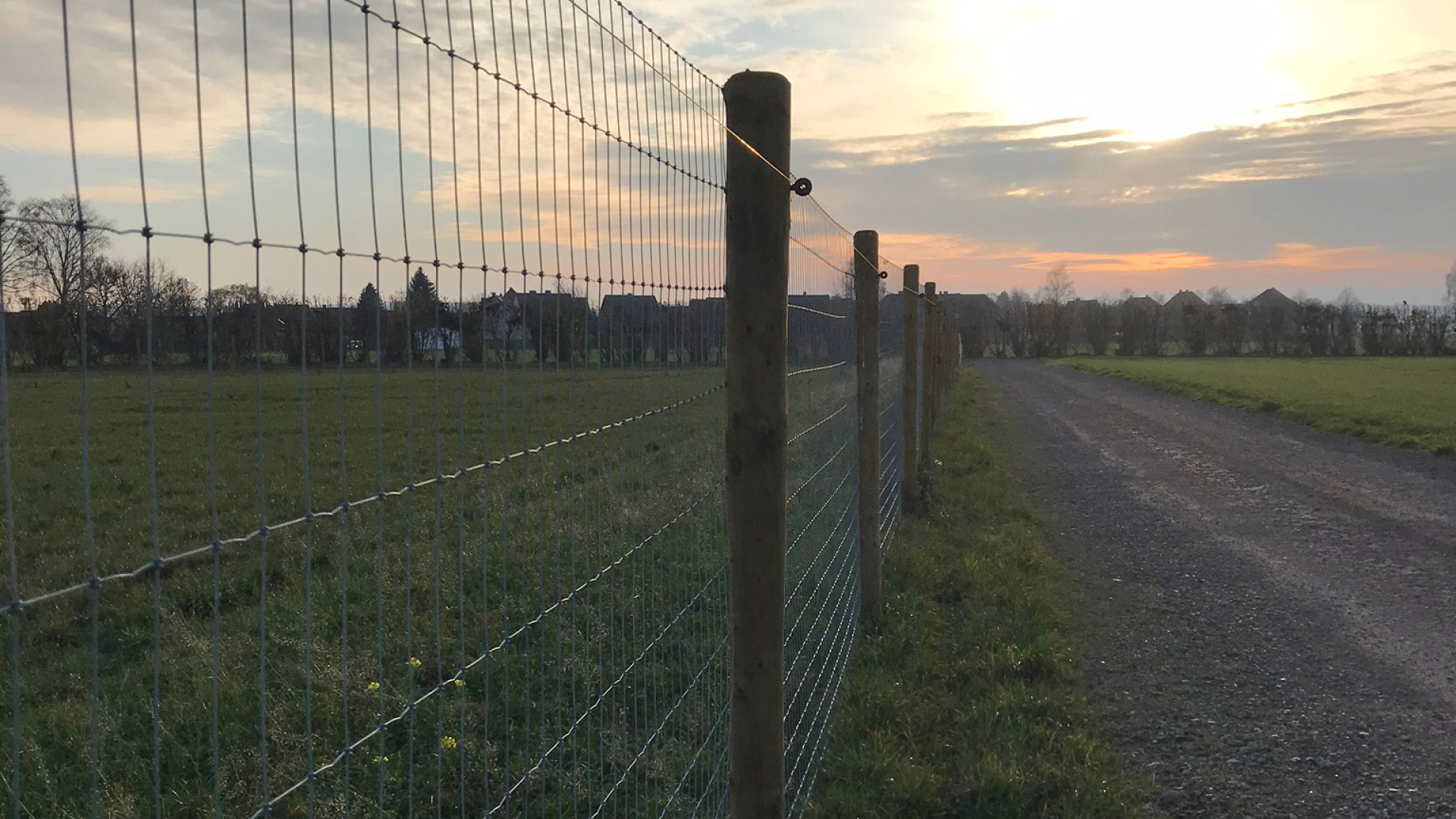 Fuchssicherer Zaun fuer Huehner und Hennen mit Wildschutzzaun