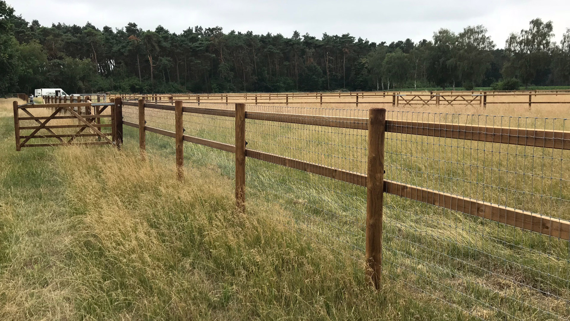 Knotengeflecht Multiknoten fuer Pferde geeignet