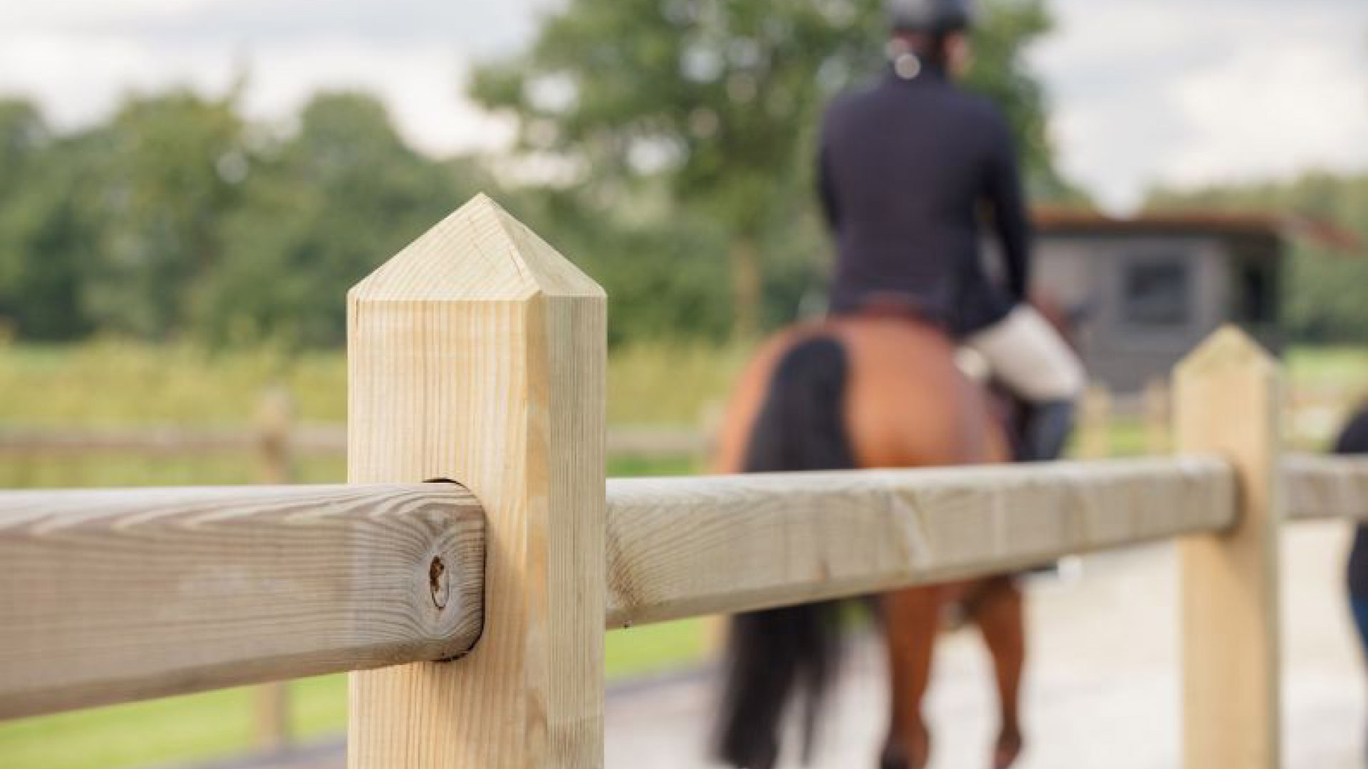 Reitplatzzaun mit Pyramidenkopf und eckigen Pfosten