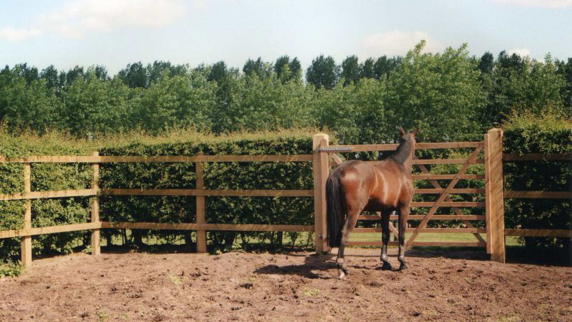 Hohes Weidetor mit Oklahoma Zaun