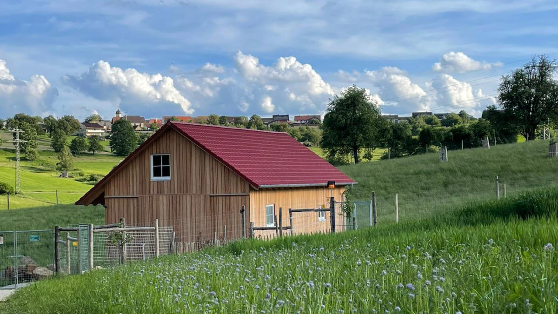 Wildschutzzaun mit Spezialknoten