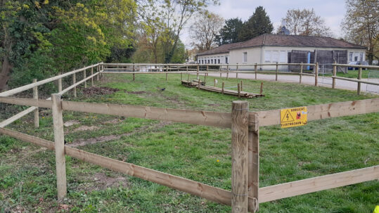 Paddocks mit Halbriegeln Klassik in Koeln